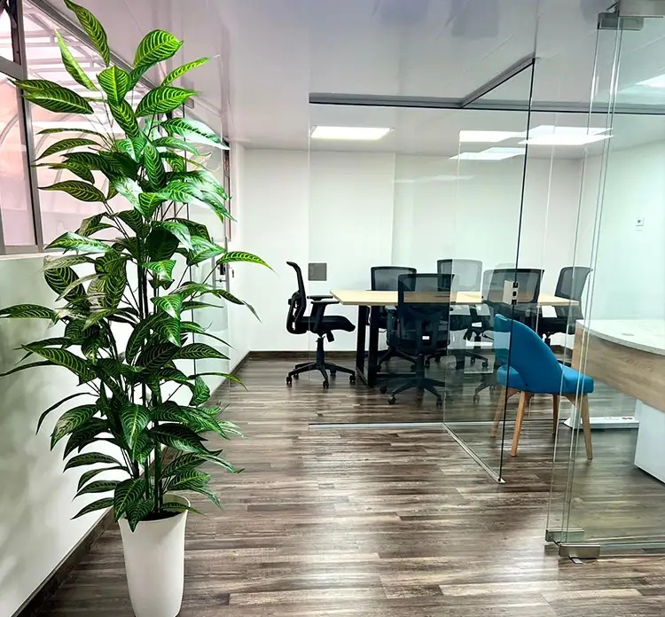Diseño